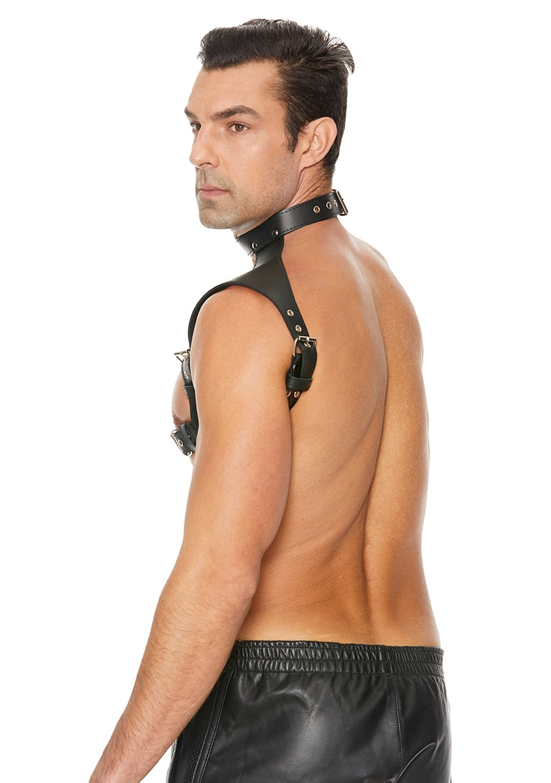 Men's Harness with Collar - One Size