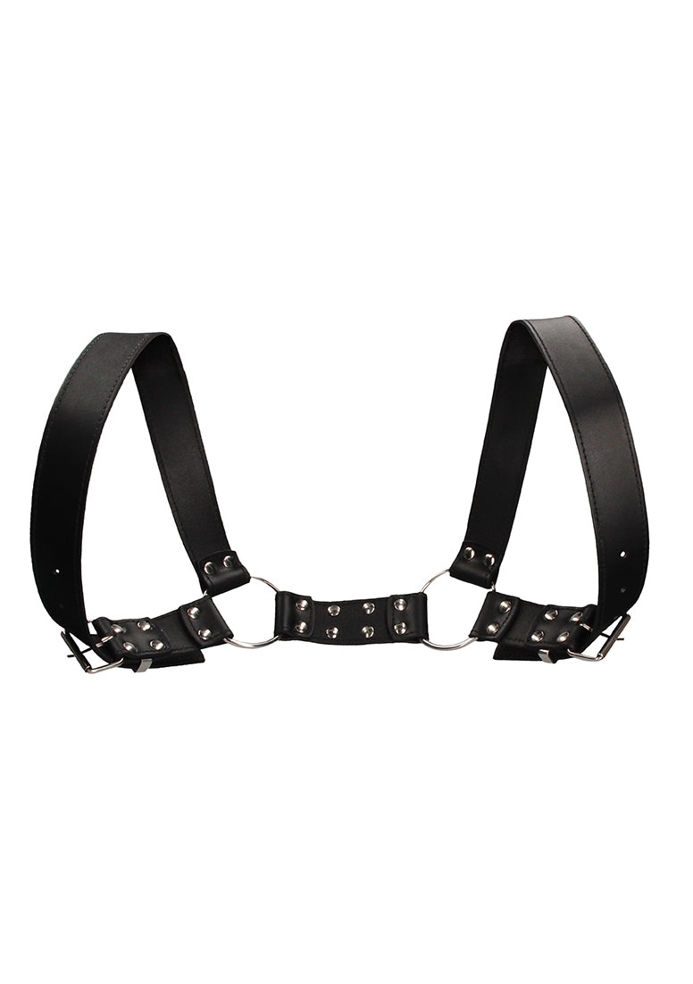 Holster Harness