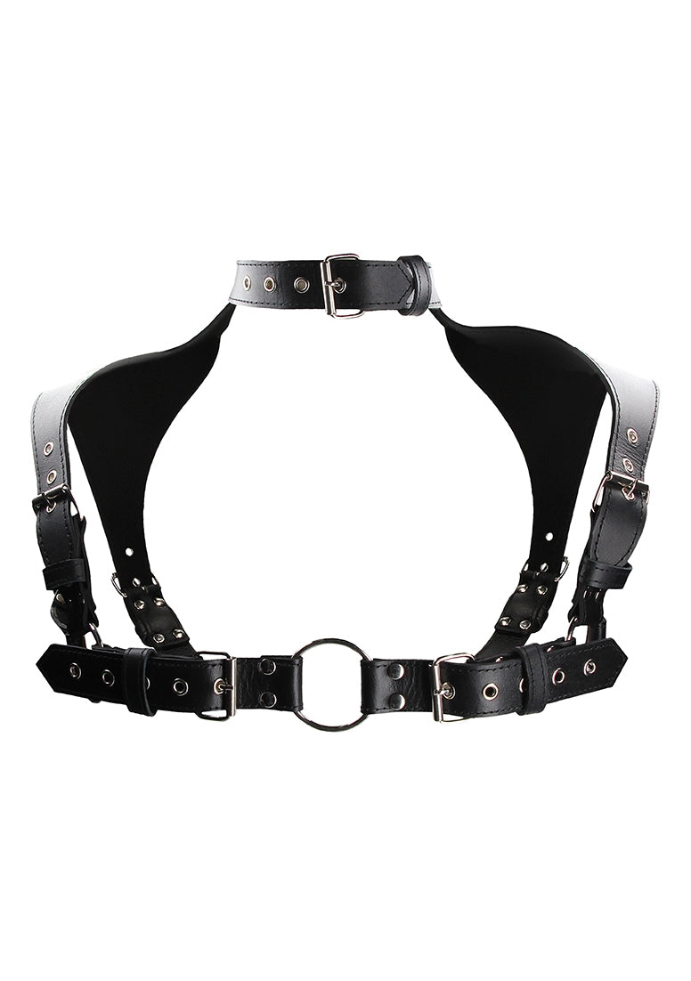 Men Harness with Neck Collar