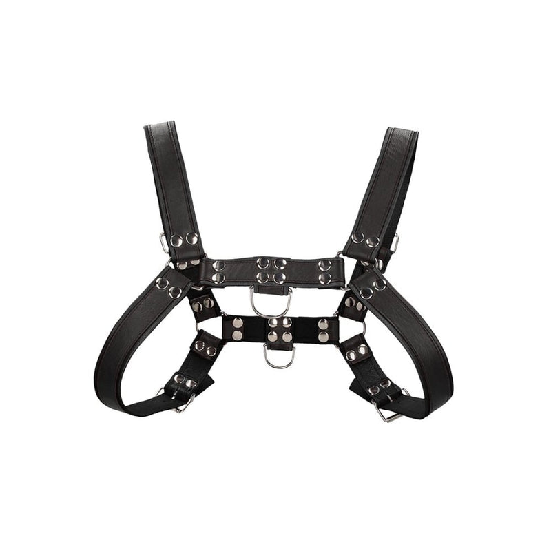 Shots - Ouch! Harnesses | Chest Bulldog Harness - S/M - Black