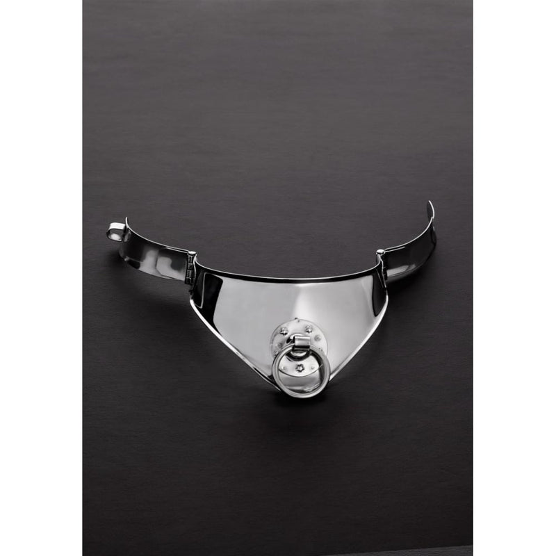 Shots - Steel | Locking Cleopatra Collar with Ring (13.5)