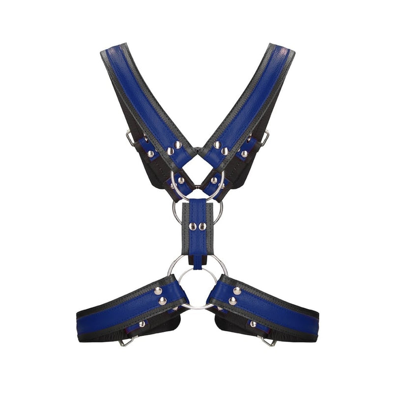 Shots - Ouch! Harnesses | Scottish Harness - S/M - Blue